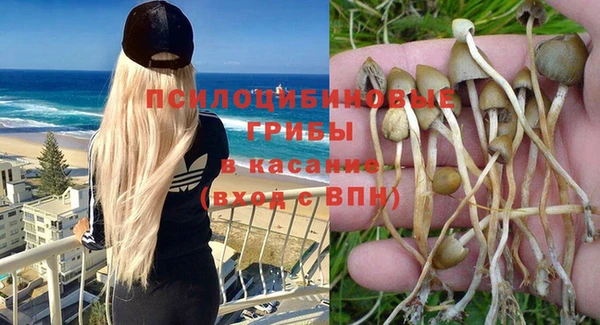 ПСИЛОЦИБИНОВЫЕ ГРИБЫ Краснотурьинск