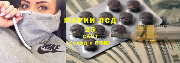 гашик Аркадак