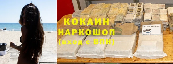 гашик Аркадак
