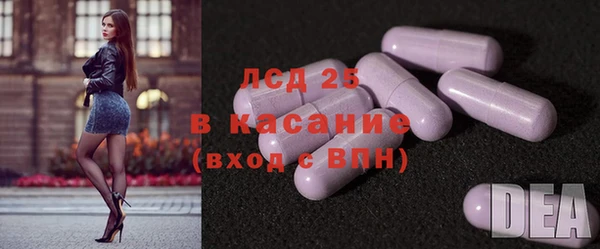 сатива Армянск
