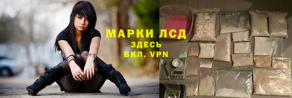 гашик Аркадак