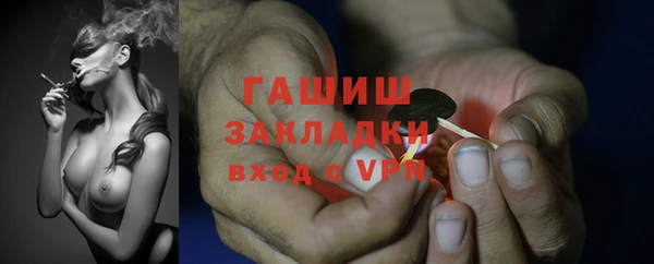 сатива Армянск