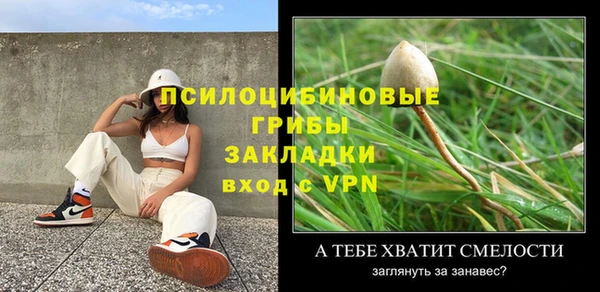 сатива Армянск