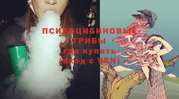 сатива Армянск