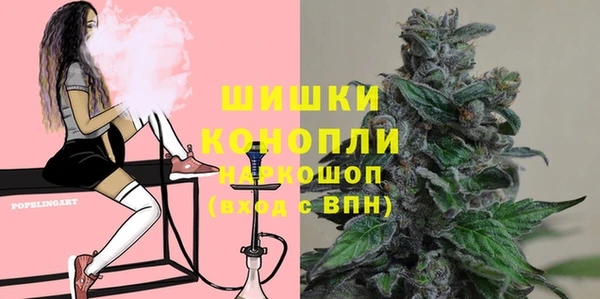 сатива Армянск