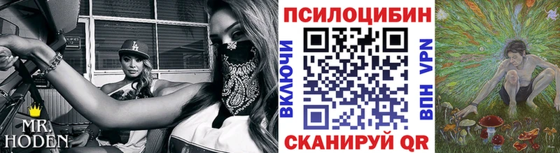 Галлюциногенные грибы Cubensis  Макушино 